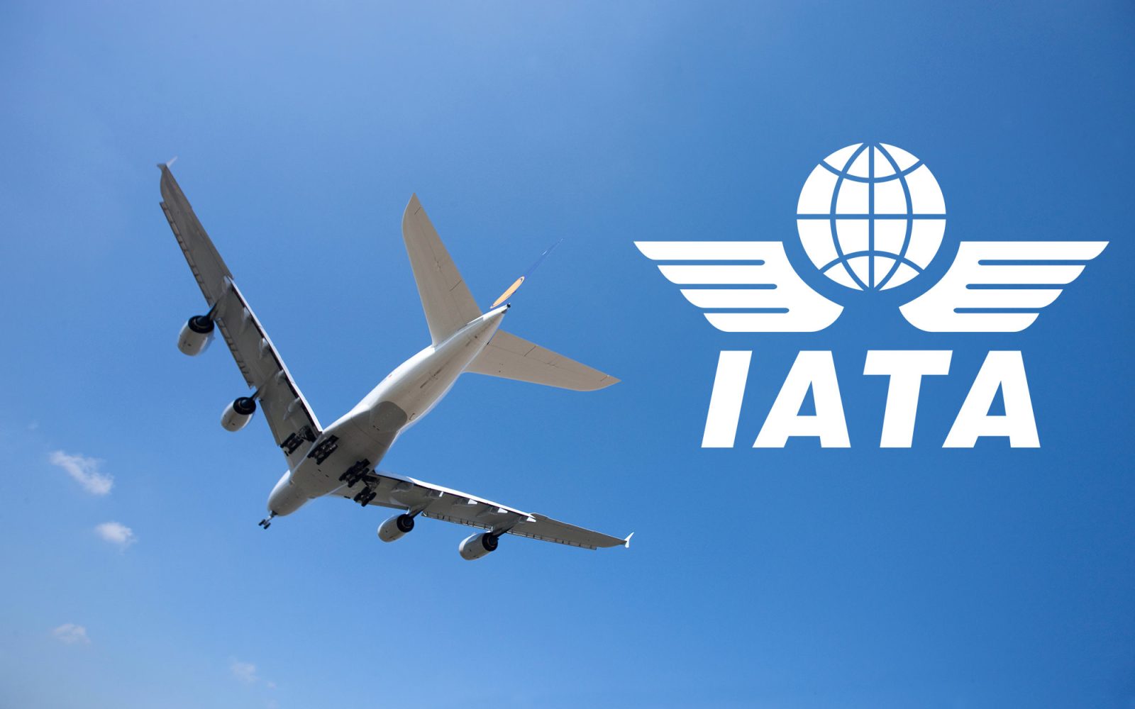 International Air Transport Association backs global drone registry
